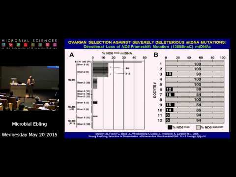 Dr. Doug Wallace - Talk from 8th Annual Oliver Smithies Symposium