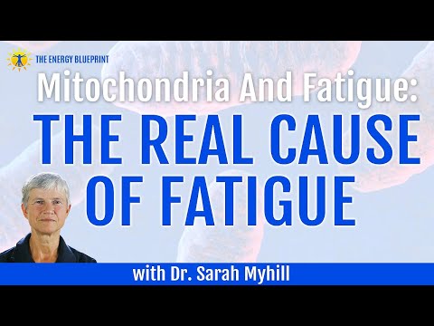 Mitochondria and Fatigue - How to Boost your Mitochondria to Beat Fatigue with Dr. Sarah Myhill