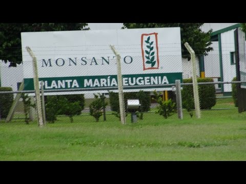 Tödliche Agri Kultur - Wie Monsanto die Welt vergiftet