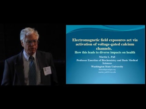 Dr. Martin Pall, Ph.D.: Electromagnetic Field Exposure - The Cellular Effect on Humans