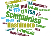 Die Schilddrüse - Diagnostik (TSH, fT3, fT4), Hashimoto, Co-Faktoren und vieles mehr.