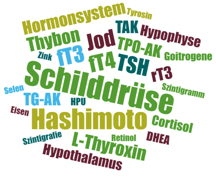Die Schilddrüse - Diagnostik (TSH, fT3, fT4), Hashimoto, Co-Faktoren und vieles mehr.