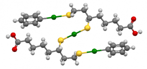 Die Struktur des Komplexes, der aus zwei DHLA-Molekülen, einem Hg2+-Ion und zwei Phenyl-Hg-Gruppen besteht. Quecksilber in grün, Schwefel in gelb und Sauerstoff in rot.