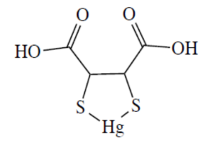 Die von Rivera et al. vorgeschlagene Molekülformel des DMSA-Hg-Komplexes.