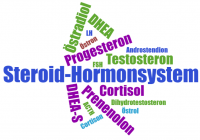 Das Steroid-Hormonsystem.