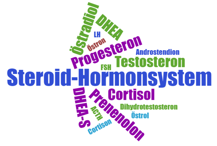 Das Steroid-Hormonsystem.