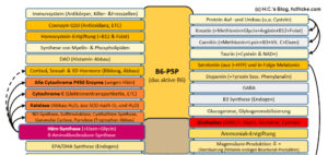 B6(-P5P) als (essentieller) Co-Faktor für wichtige Funktionen.