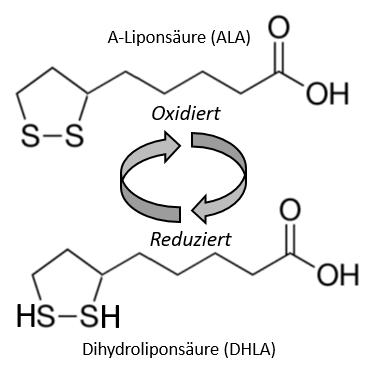 Alpha-Liponsäure (ALA) Teil 1: Allgemeines, Antioxidanz (-> Nrf2, Redoxpartner), Metal-Chelator (ggf. Quecksilber), R- und S-Form, Bioverfügbarkeit, Interaktionen & Nebenwirkungen