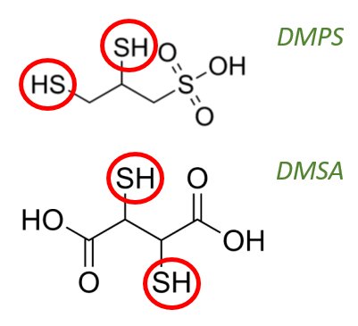 Detox 5: DMPS & DMSA - Die Standard-Chelatoren für Quecksilber (Hg) und Blei (Pb): Zu Halbwertszeiten, (Neben-) Wirkungen, Dosen & Co.