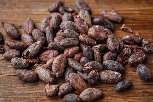Kakaobohnen 