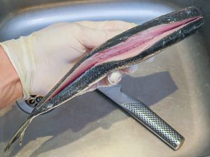 Wirbelsäule entfernen