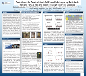 Zusammenfassung der NTP-Studie in Bezug auf die beobachteten Auswirkungen & Krankheiten. Quelle: [13]