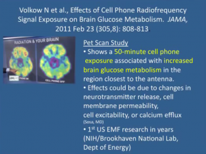 MW EMF verändern den Gehirn-Glukose Metabolismus.