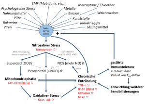 Selbstverstärkender Kreislauf der chronischen Entzündung durch nitrosativen Stress, basierend auf Umwelt-Faktoren und u.a. VGCC, NMDA2-Rezeptor Aktivierung.