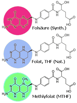 Folat Teil 1: Warum Folsäure aus Supplementen ungut ist (sowie etwas zu