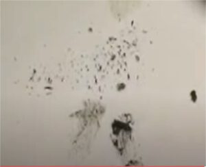 Eisenspäne in Cornflakes. Quelle: Dr. T. Levy [2]