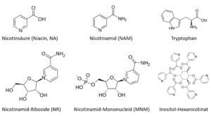 Die verschiedenen Formen von Vitamin B3.