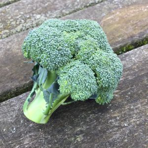 Brokkoli: Stark in Vitamin C, E, K und vielem mehr!